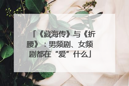 《藏海传》与《折腰》：男频剧、女频剧都在“爱”什么