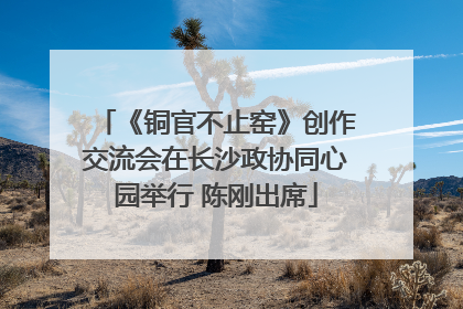 《铜官不止窑》创作交流会在长沙政协同心园举行 陈刚出席