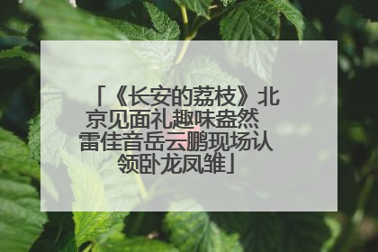 《长安的荔枝》北京见面礼趣味盎然 雷佳音岳云鹏现场认领卧龙凤雏