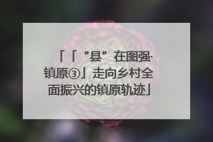 「“县”在图强·镇原③」走向乡村全面振兴的镇原轨迹
