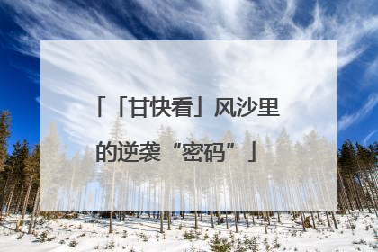 「甘快看」风沙里的逆袭“密码”