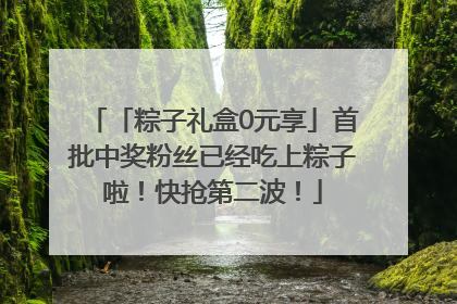 「粽子礼盒0元享」首批中奖粉丝已经吃上粽子啦！快抢第二波！