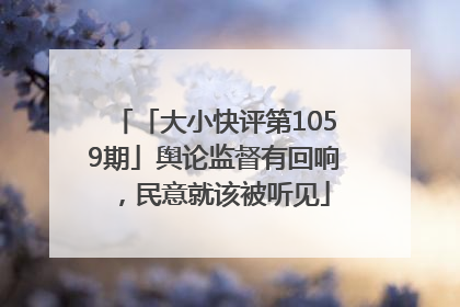 「大小快评第1059期」舆论监督有回响，民意就该被听见