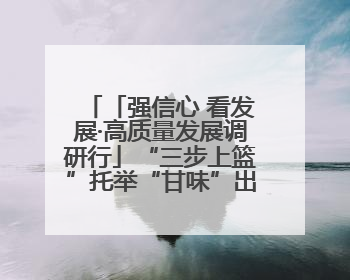 「强信心 看发展·高质量发展调研行」“三步上篮”托举“甘味”出海——秦州大樱桃高质量发展动作分解