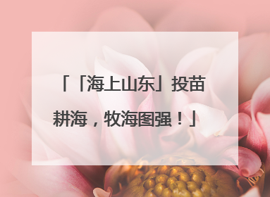 「海上山东」投苗耕海，牧海图强！