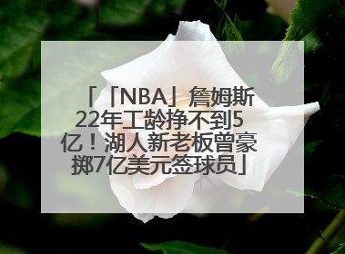「NBA」詹姆斯22年工龄挣不到5亿！湖人新老板曾豪掷7亿美元签球员