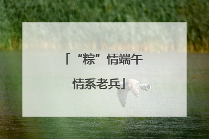 “粽”情端午 情系老兵