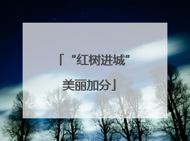 “红树进城” 美丽加分