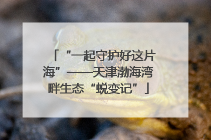 “一起守护好这片海”——天津渤海湾畔生态“蜕变记”