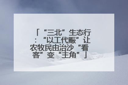 “三北”生态行：“以工代赈”让农牧民由治沙“看客”变“主角”