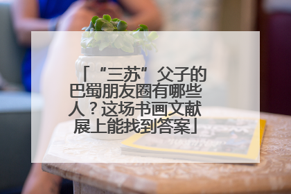 “三苏”父子的巴蜀朋友圈有哪些人？这场书画文献展上能找到答案