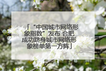 “中国城市网络形象指数”发布 合肥成功跻身城市网络形象榜单第一方阵