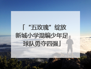 “五玫瑰”绽放 新城小学混编少年足球队勇夺四强