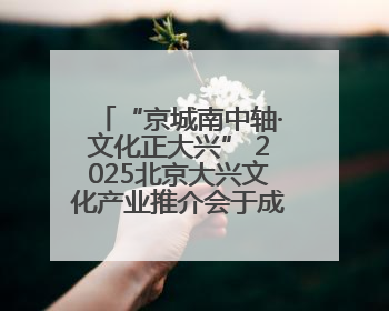“京城南中轴·文化正大兴” 2025北京大兴文化产业推介会于成都举办