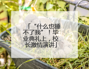 “什么也锤不了我”！毕业典礼上，校长激情演讲
