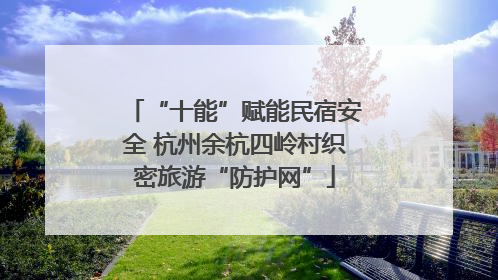 “十能”赋能民宿安全 杭州余杭四岭村织密旅游“防护网”