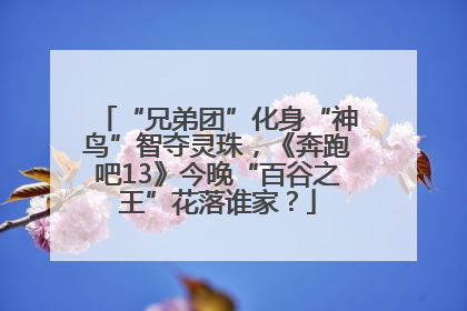 “兄弟团”化身“神鸟”智夺灵珠，《奔跑吧13》今晚“百谷之王”花落谁家？