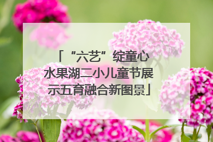 “六艺”绽童心 水果湖二小儿童节展示五育融合新图景