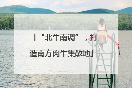 “北牛南调”，打造南方肉牛集散地