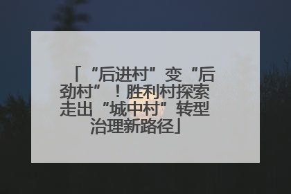 “后进村”变“后劲村”！胜利村探索走出“城中村”转型治理新路径