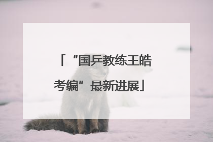 “国乒教练王皓考编”最新进展