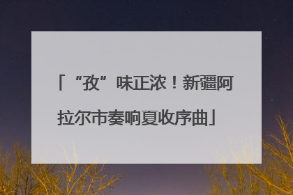 “孜”味正浓！新疆阿拉尔市奏响夏收序曲