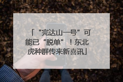 “完达山一号”可能已“脱单”！东北虎种群传来新喜讯