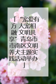 “宠爱有方 人宠相融 文明共享”青岛市市南区文明养犬主题实践活动举办