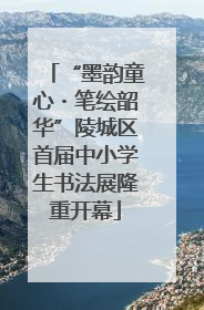 “墨韵童心・笔绘韶华”陵城区首届中小学生书法展隆重开幕