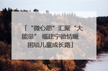 “微心愿”汇聚“大能量” 福建宁德情暖困境儿童成长路