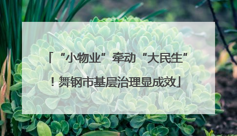 “小物业”牵动“大民生”！舞钢市基层治理显成效