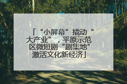 “小屏幕”撬动“大产业”，平原示范区微短剧“剧集地”激活文化新经济