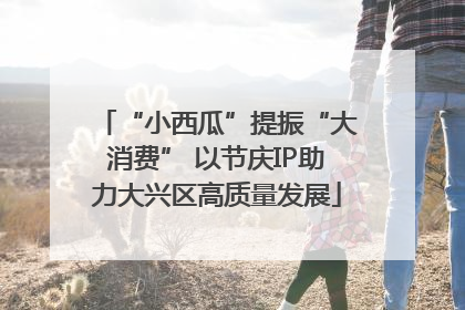 “小西瓜”提振“大消费” 以节庆IP助力大兴区高质量发展