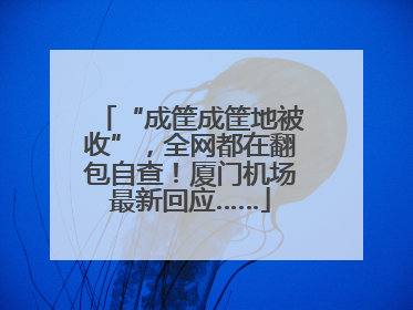 “成筐成筐地被收”，全网都在翻包自查！厦门机场最新回应……