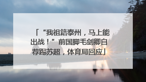 “我祖籍泰州，马上能出战！”前国脚毛剑卿自荐踢苏超，体育局回应
