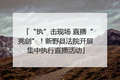“执”击现场 直播“亮剑”！新野县法院开展集中执行直播活动