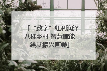 “数字”红利润泽八桂乡村 智慧赋能绘就振兴画卷