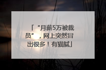 “月薪5万被裁员”，网上突然冒出很多！有猫腻