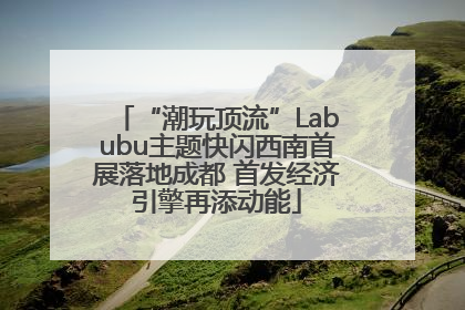“潮玩顶流”Labubu主题快闪西南首展落地成都 首发经济引擎再添动能