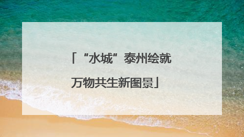 “水城”泰州绘就万物共生新图景