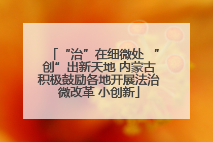 “治”在细微处 “创”出新天地 内蒙古积极鼓励各地开展法治微改革 小创新