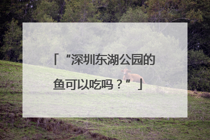“深圳东湖公园的鱼可以吃吗？”