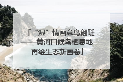 “湿”情画意鸟翩跹——黄河口候鸟栖息地再绘生态新画卷