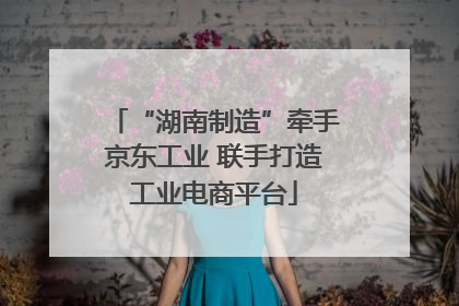 “湖南制造”牵手京东工业 联手打造工业电商平台