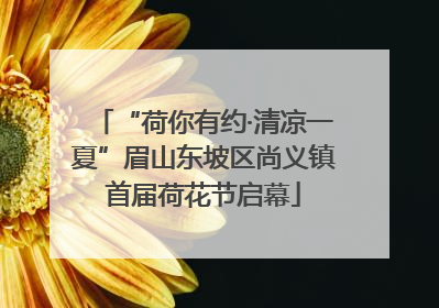 “荷你有约·清凉一夏”眉山东坡区尚义镇首届荷花节启幕