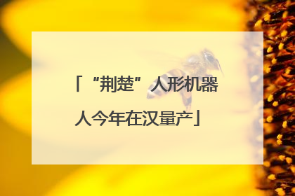 “荆楚”人形机器人今年在汉量产
