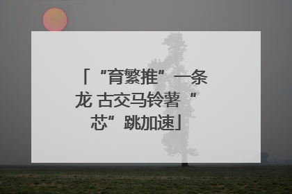“育繁推”一条龙 古交马铃薯“芯”跳加速