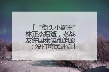 “街头小霸王”林正杰癌逝，老战友许国泰曝他遗愿：没打垮民进党