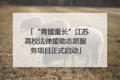 “青援童长”江苏高校法律援助志愿服务项目正式启动