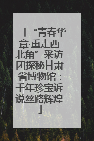 “青春华章·重走西北角”采访团探秘甘肃省博物馆：千年珍宝诉说丝路辉煌